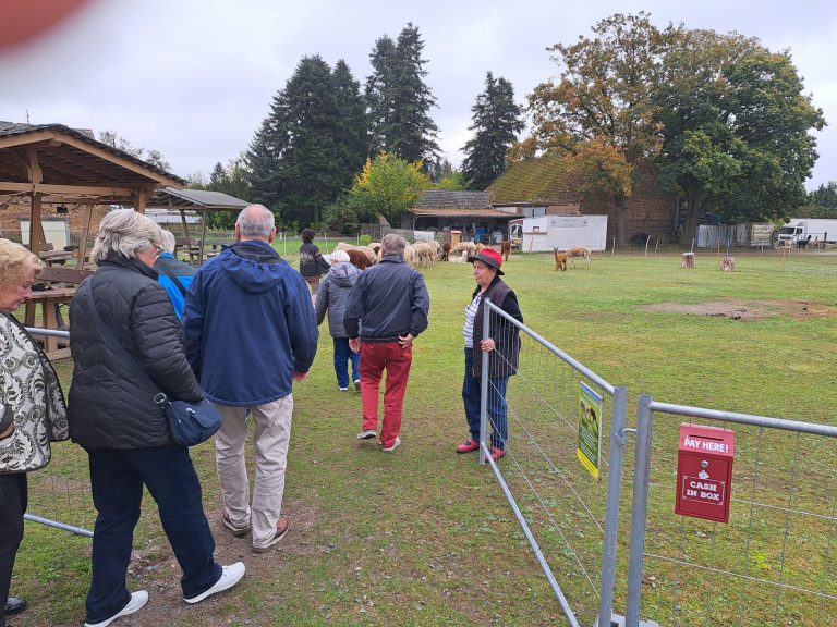 20251014_135113_resized