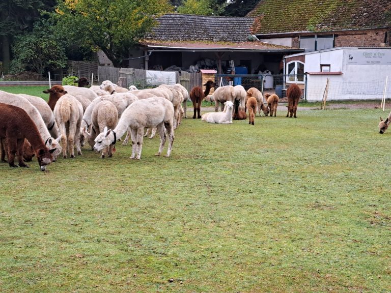 20251014_135129_resized