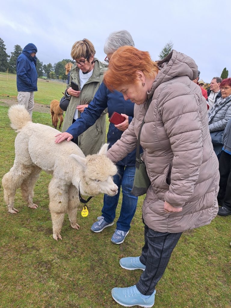 20251014_135820_resized