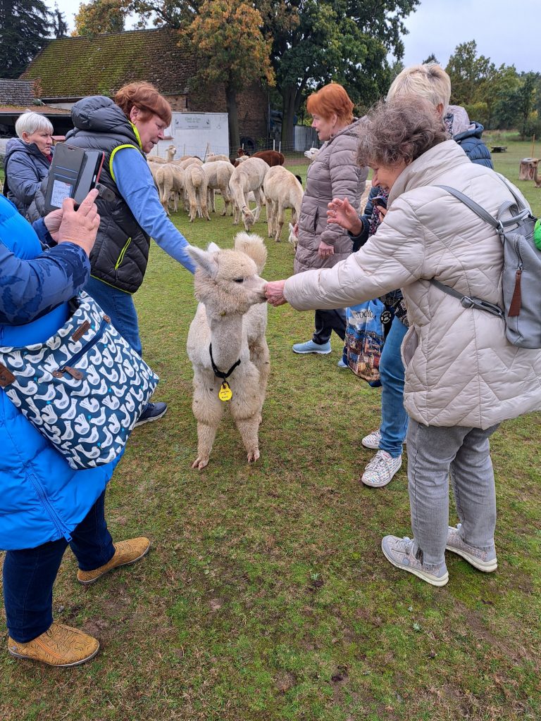 20251014_135845_resized