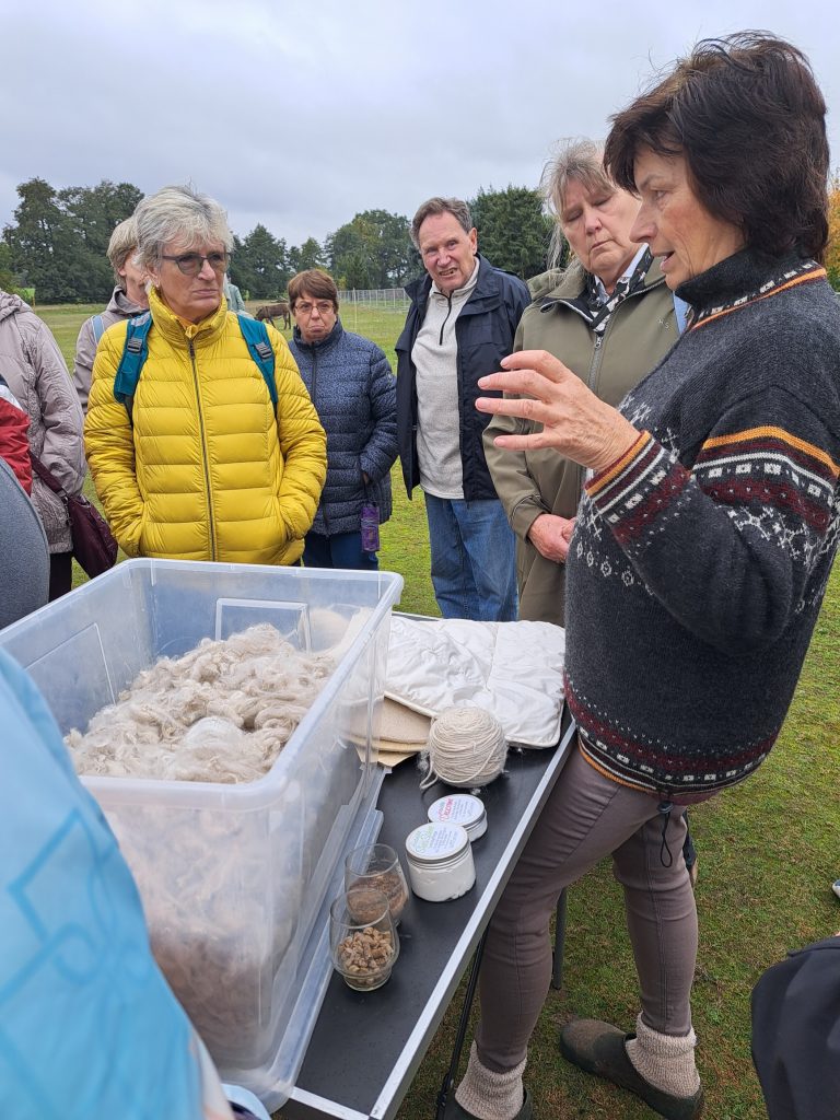 20251014_140525_resized