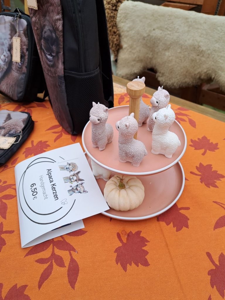 20251014_142452_resized_1